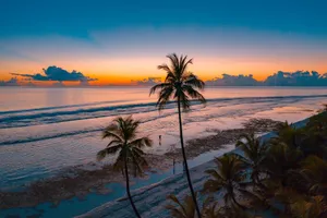 A tranquil tropical beach scene at sunset with palm trees and gentle ocean waves. jigsaw puzzle