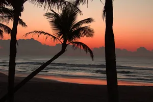 Peaceful sunrise at Guaratuba Beach with palm trees silhouetted against a vibrant sky. jigsaw puzzle