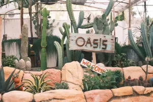 Indoor cactus garden with rustic sign and diverse succulent plants. jigsaw puzzle
