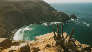 A stunning view of a Baja California beach with rocky cliffs and cactus under a bright sun. jigsaw puzzle