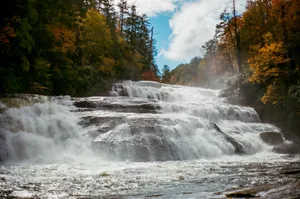 a waterfall in the middle of a forest jigsaw puzzle