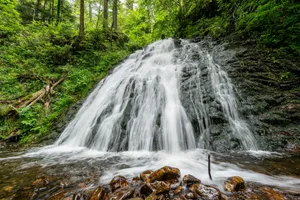A small waterfall in the middle of a forest jigsaw puzzle