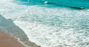 sea waves crashing on shore during daytime jigsaw puzzle