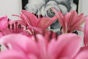 painting of pink flower jigsaw puzzle