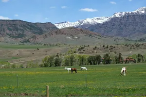 three horses grazing in a field with mountains in the background jigsaw puzzle