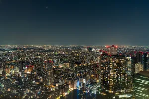 a view of a city at night from the top of a skyscraper jigsaw puzzle
