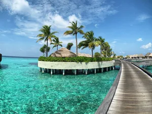brown wooden dock on body of water during daytime jigsaw puzzle