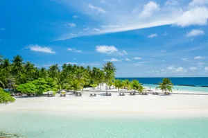 a white sandy beach surrounded by palm trees jigsaw puzzle