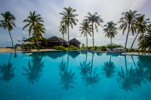 house under coconut tree near pool at daytime jigsaw puzzle