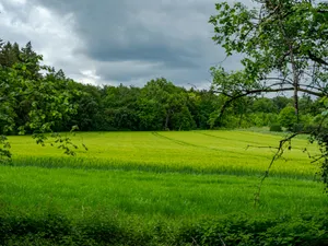 Lush green field bordered by forest under a dramatic sky. jigsaw puzzle