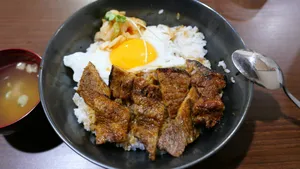 Bowl of rice with grilled meat and fried egg jigsaw puzzle