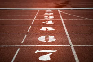 brown track and field jigsaw puzzle