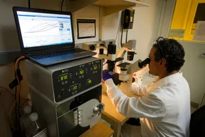 man looking at microscope jigsaw puzzle