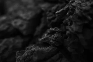 Rough, textured tree bark in black and white. jigsaw puzzle