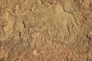 brown sand with water during daytime jigsaw puzzle