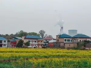 Countryside village and power plant juxtaposition with yellow flower field in China. jigsaw puzzle