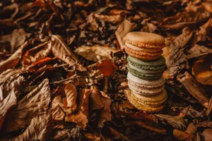 A stack of colorful macarons placed on a bed of fallen autumn leaves. jigsaw puzzle