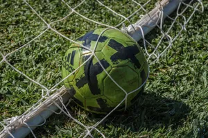 Bright green soccer ball stuck in a net on a grassy field in sunlight. jigsaw puzzle