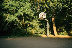 A basketball hoop stands amidst lush green trees, bathed in sunlight on a quiet outdoor court. jigsaw puzzle