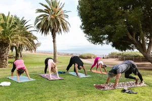 Group practicing yoga outdoors in a scenic park with palm trees, focusing on wellness and fitness. jigsaw puzzle