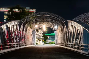 Night view of Anderson Bridge in Singapore, highlighting modern architecture and urban ambiance. jigsaw puzzle