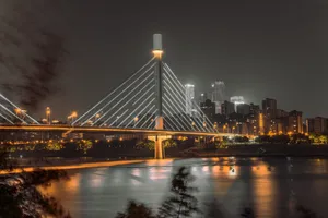 Captivating night view of a modern cable-stayed bridge in Nanning, Guangxi with city skyline. jigsaw puzzle