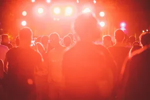 Backlit crowd enjoying a lively outdoor festival with vibrant lighting. jigsaw puzzle