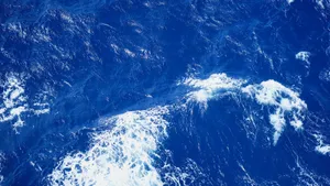 Dynamic aerial view of vibrant blue ocean waves and white surf. jigsaw puzzle