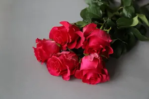 A beautiful bouquet of vibrant pink roses symbolizing romance and elegance. jigsaw puzzle