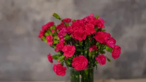 A bouquet of vibrant pink carnations elegantly arranged in a glass vase. jigsaw puzzle