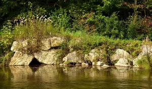 riverbank jigsaw puzzle