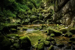 waterfall jigsaw puzzle