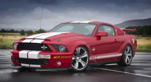 shelby jigsaw puzzle