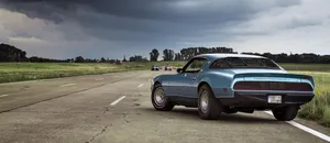 shelby jigsaw puzzle
