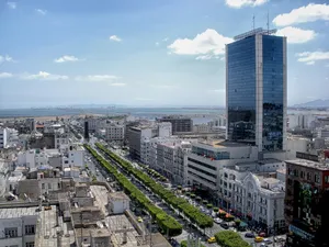 tunis jigsaw puzzle