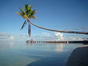 wakatobi jigsaw puzzle