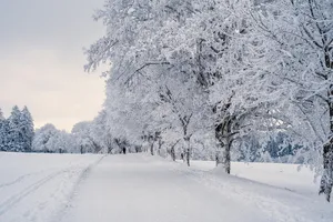 snow jigsaw puzzle