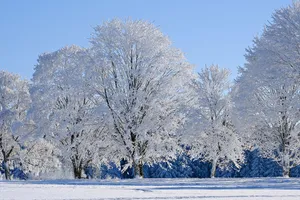 winter jigsaw puzzle