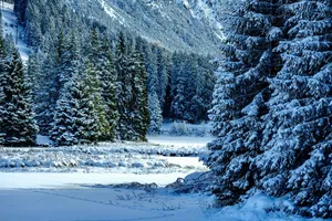 winter jigsaw puzzle