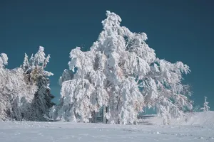 winter landscape jigsaw puzzle