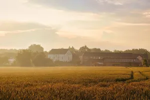 landscape jigsaw puzzle