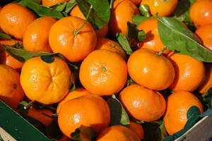 clementines jigsaw puzzle
