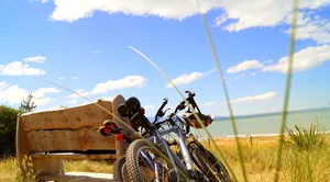 bike tour jigsaw puzzle