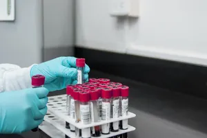 lab jigsaw puzzle