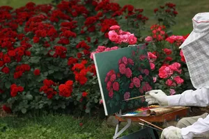rose jigsaw puzzle