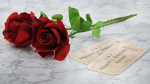 red roses jigsaw puzzle