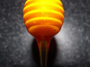 honey jigsaw puzzle