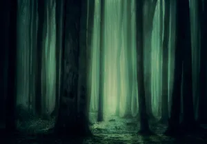 forest jigsaw puzzle