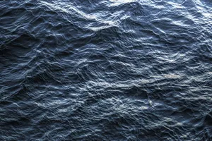 ocean jigsaw puzzle