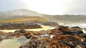 Rocky coastline with sandy beach and misty forest hills. jigsaw puzzle